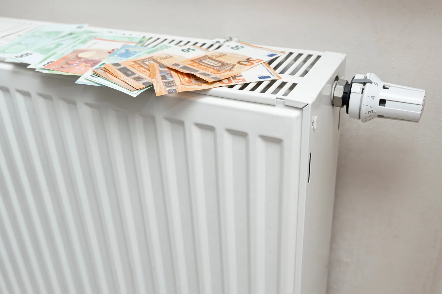 Priimtas 2026 metų biudžetas