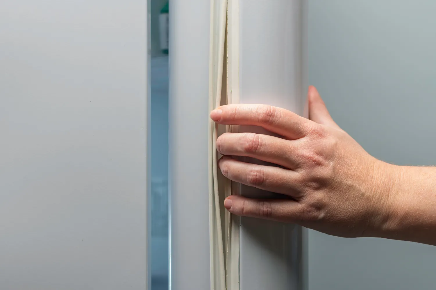 Šaldytuvo sandariklis