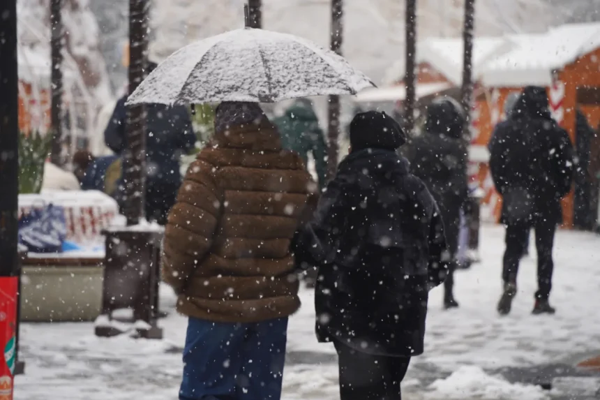Kodėl lietuvius kiekvieną žiemą apgauna tas pats klimato mitas