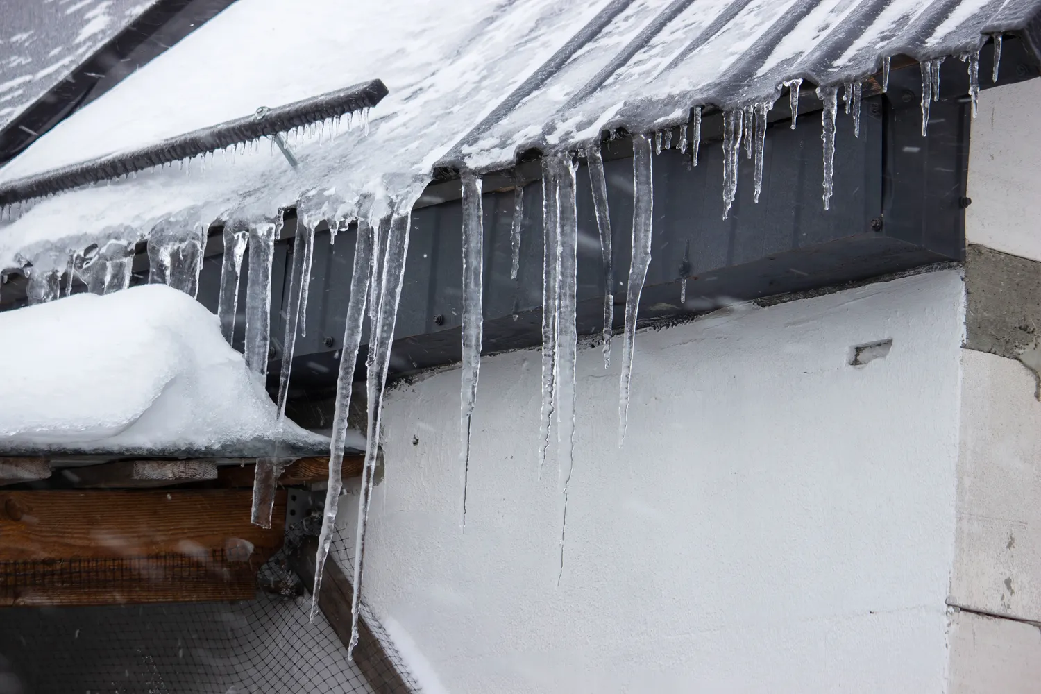 Varvekliai ant stogo