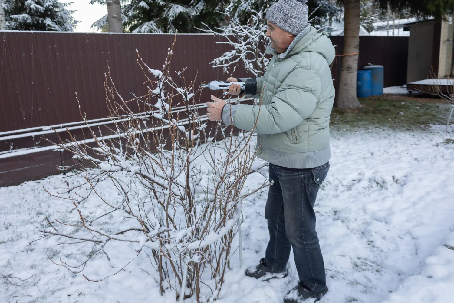 Augalų genėjimas žiemą