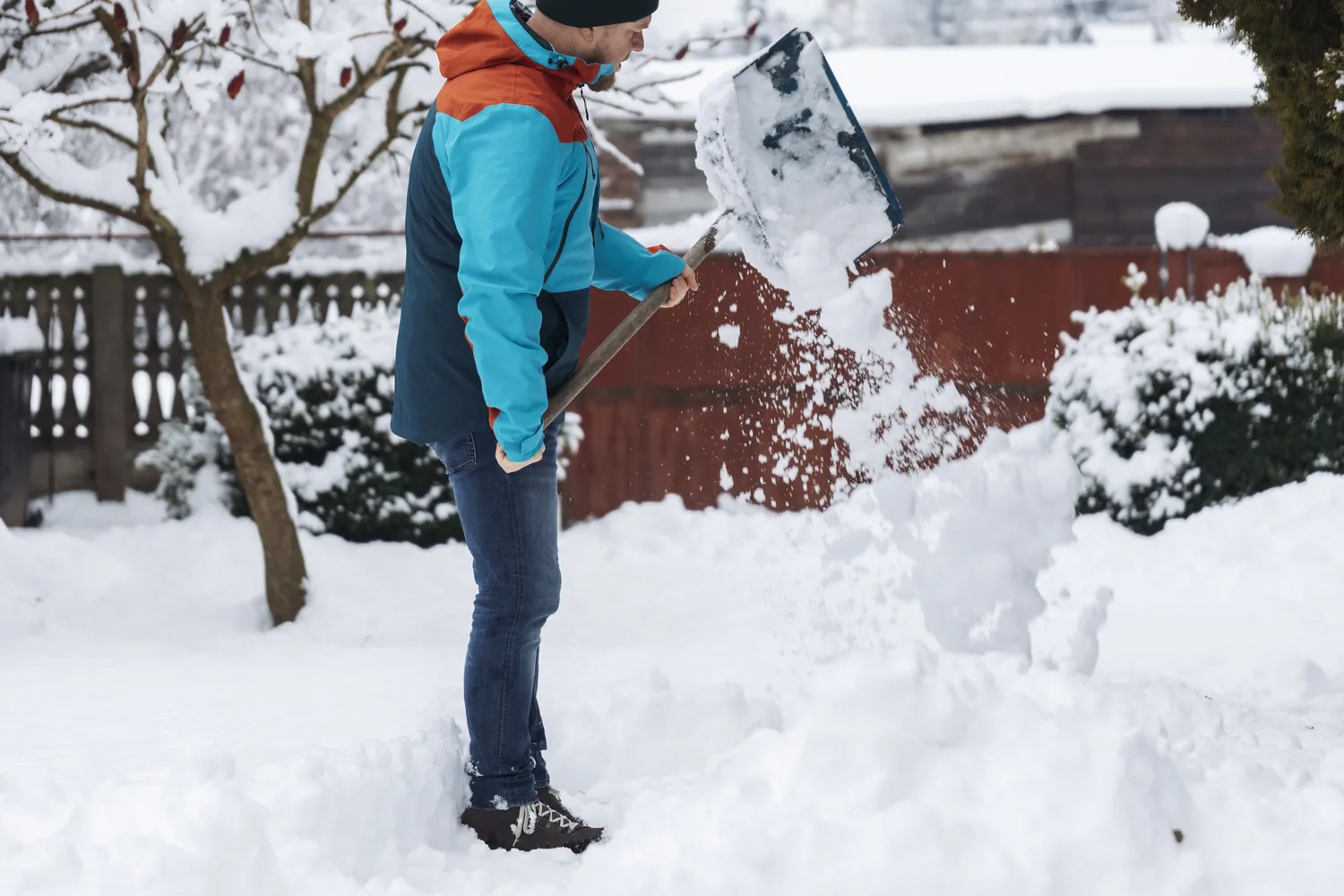 Nauja sniego porcija