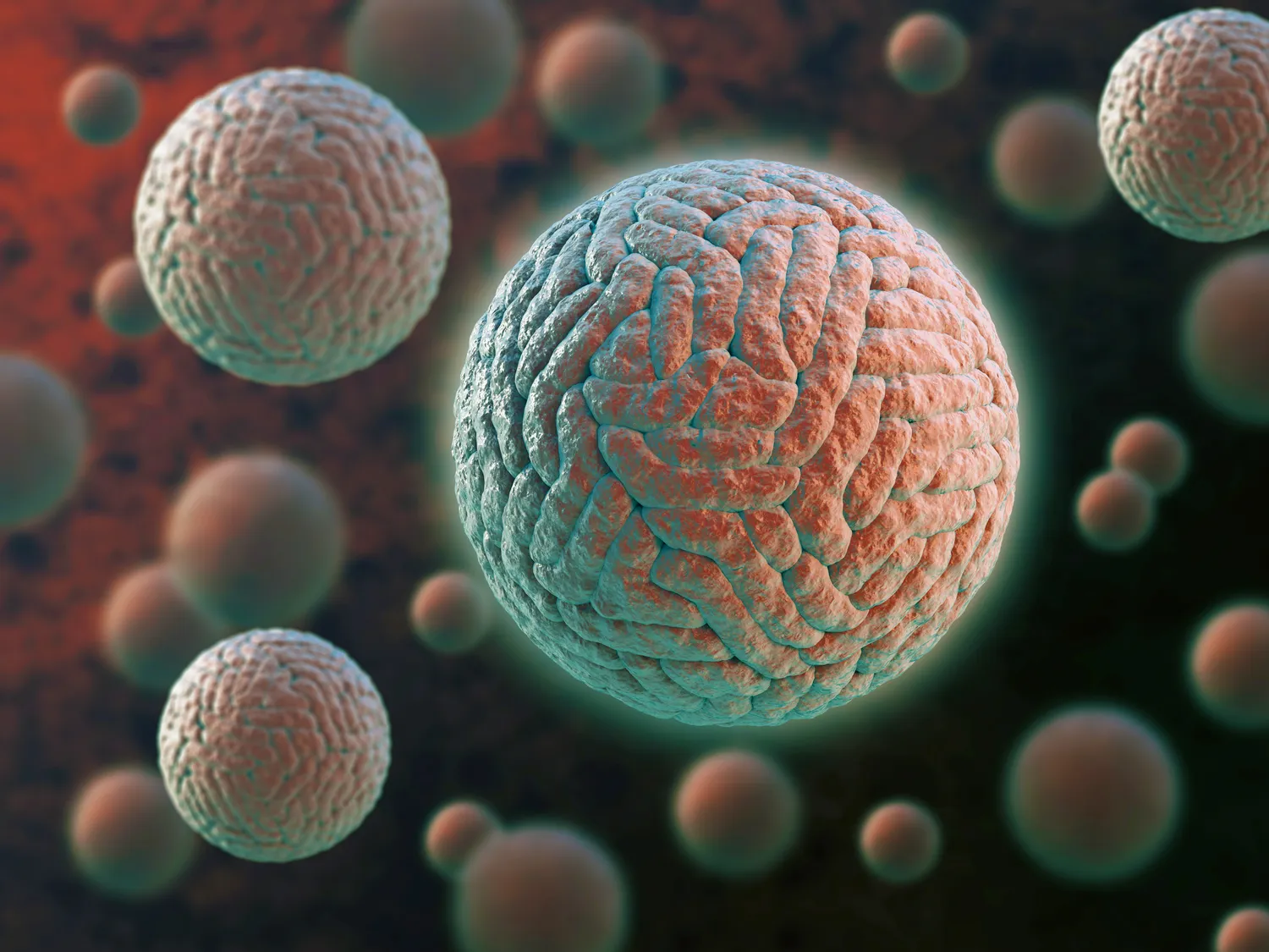 Naujas virusas pasiekė Europą