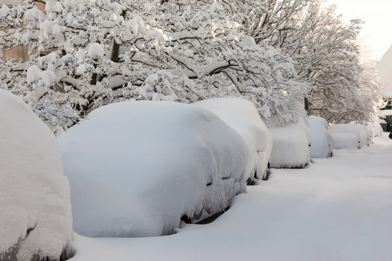 Kokios žiemos tikėtis?