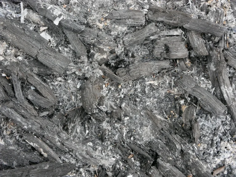 Neišmeskite medžio pelenų