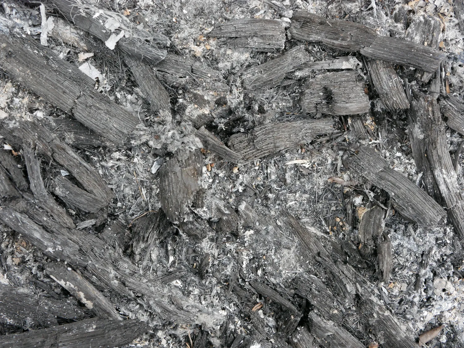 Neišmeskite medžio pelenų